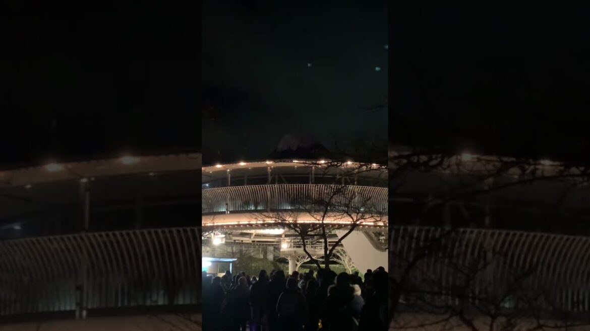 Nagoya// japan // travel