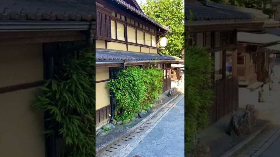 Japan Trip : 1hour from Tokyo, old citycape at the foot of Takao-san