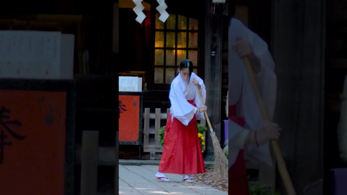 Sweeping the Shinto temple in Autumn near Mount Fuji | Amazing Japan Travel Adventure Documentary Sweeping the Shinto temple in Autumn near Mount Fuji | Amazing Japan Travel Adventure Documentary