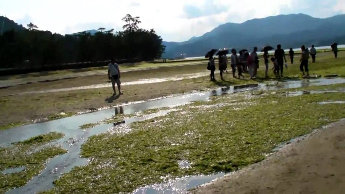 Japan 2010! P.30 Itsukushima shrine Miyajima P.2/2