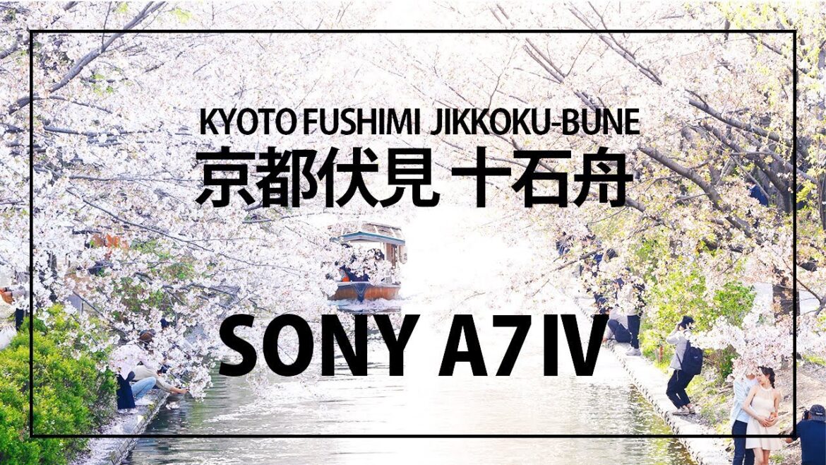 #SONY A7M4 桜満開の京都伏見十石舟 KYOTO JAPAN