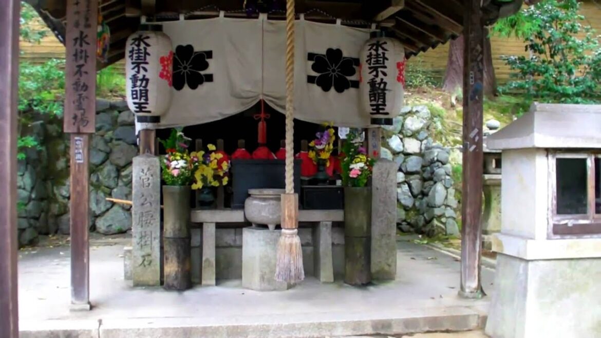 Japan 2010! P.7 Ninna-ji, Kyoto!