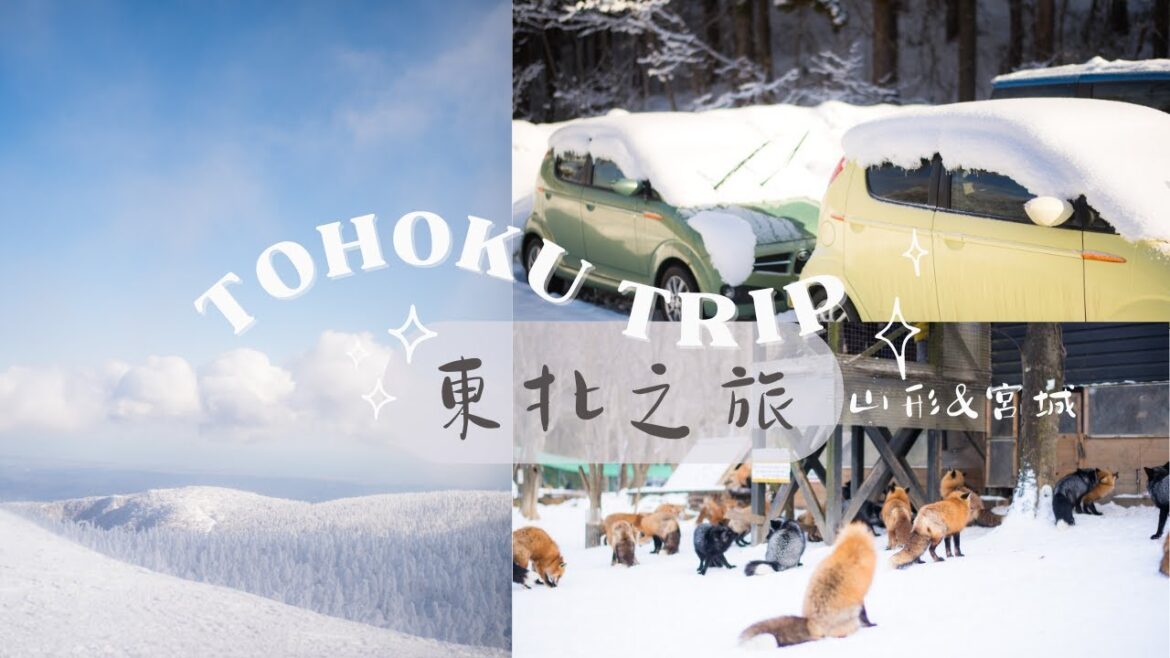 (續)日本東北之旅❄️山形、宮城県篇♨️藏王溫泉🦊狐狸村☃️樹冰高原