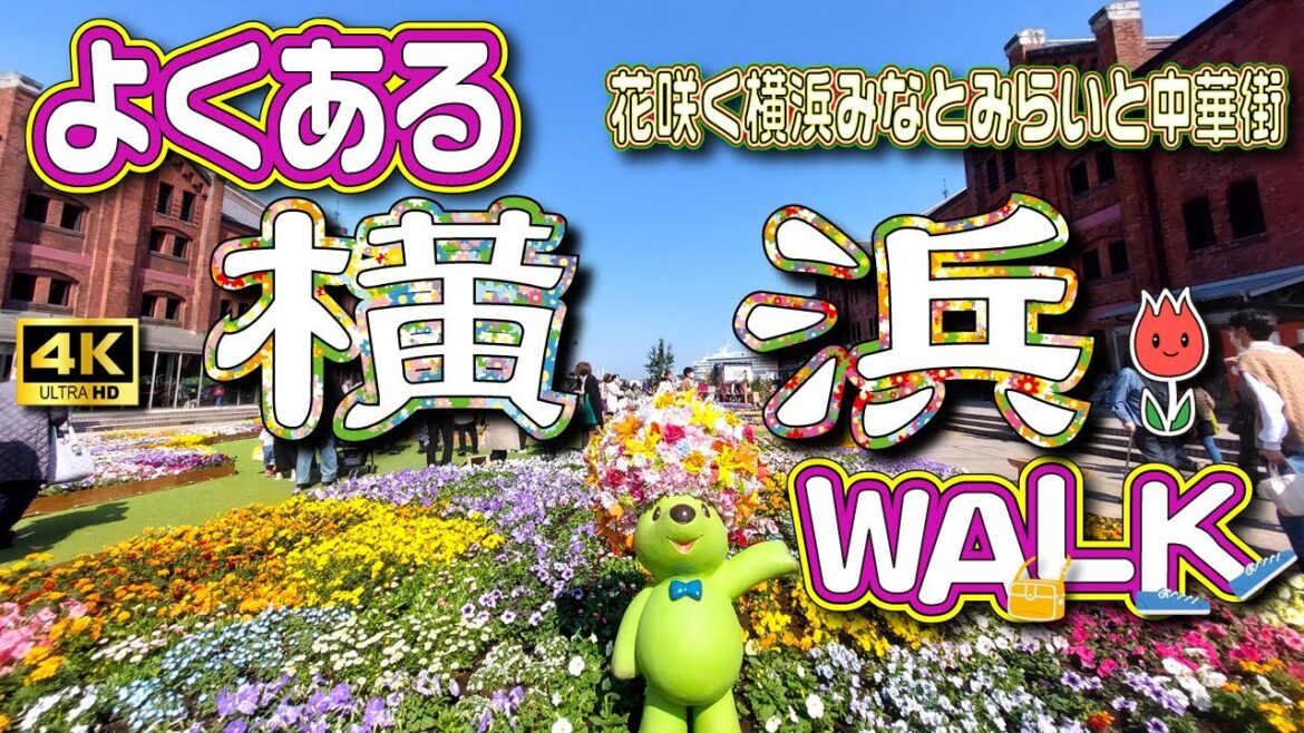 sub) 4K【横浜】横浜公園から中華街、みなとみらいの赤レンガ倉庫から横浜ハンマーヘッドまでお散歩！《Yokohama Walk》Vol.36
