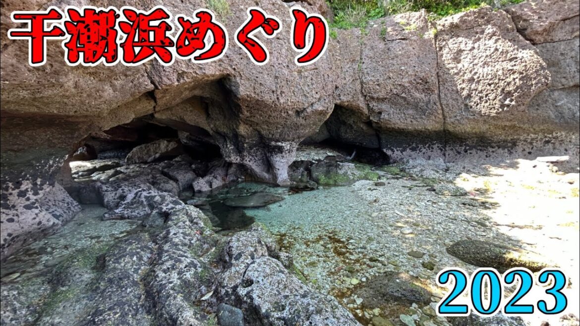 【干潮浜めぐり】双子浜→白浜の洞門→犬の白浜→勾玉浜→聖ヶ浦ポケットパーク→近くの浜辺 2023/04/09【自己満足動画】 【干潮浜めぐり】双子浜→白浜の洞門→犬の白浜→勾玉浜→聖ヶ浦ポケットパーク→近くの浜辺 2023/04/09【自己満足動画】