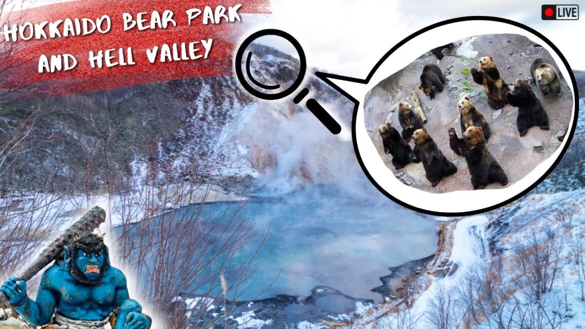 HOKKAIDO BEAR PARK!! || Hokkaido Mini-Series PART 2 || Japan Vlog 12