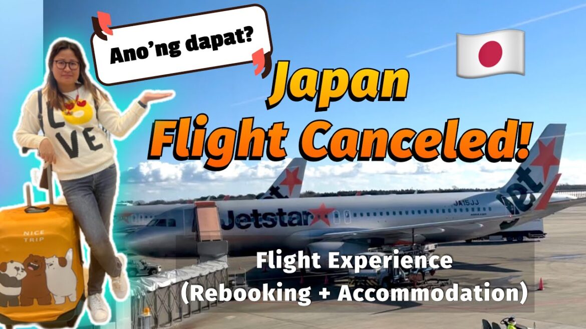 How Jetstar Japan Handled our Canceled Flight | Travel Experience