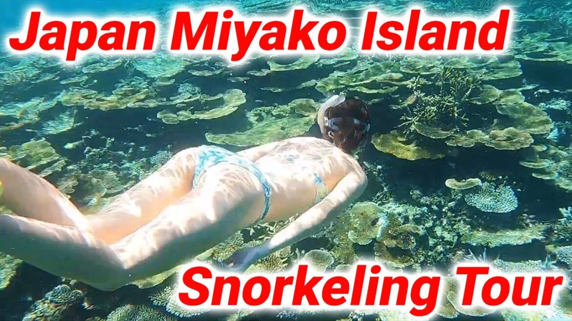 This time we enjoyed a full day snorkeling tour at Yaehigase in Miyako Island, Okinawa!