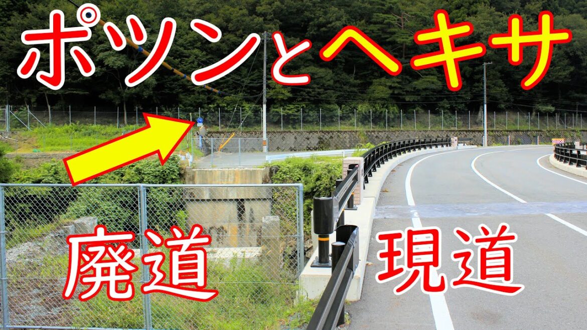 【険道/まるで罰ゲーム…廃道にポツンと居残る標識】滋賀県道・京都府道781号 麻生古屋梅ノ木線 part 2 (完)【大雪ドライブ】【旧朽木村・鯖街道】