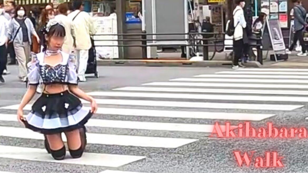 Akihabara, Tokyo, Japan walk tour. 23【4K】3.2023