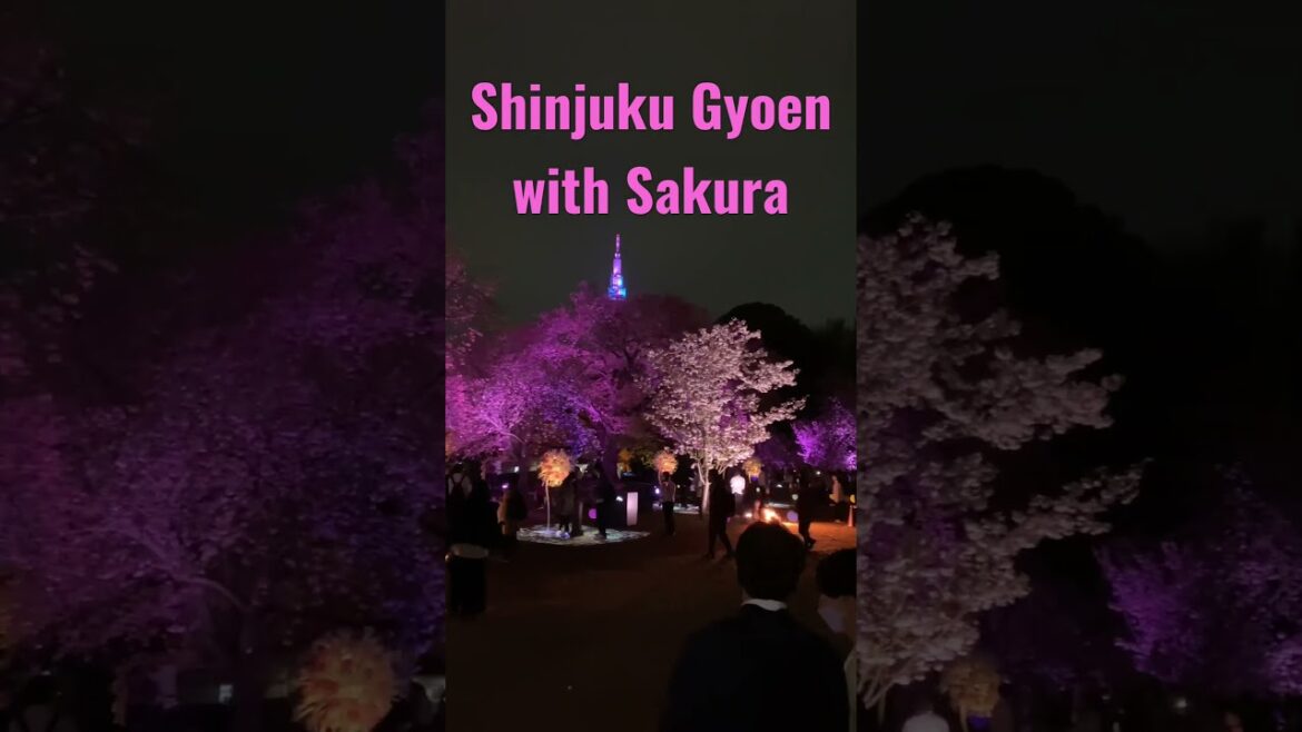 #shinjukugyoen #shinjuku #sakura #tokyo #japan #japantravel #japantrip #tokyotravel #tokyotrip