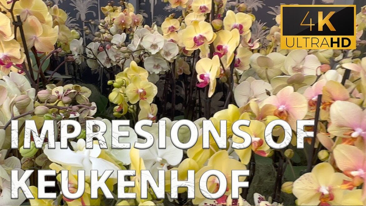 Impressions of Keukenhof April 2023 Impressions of Keukenhof April 2023
