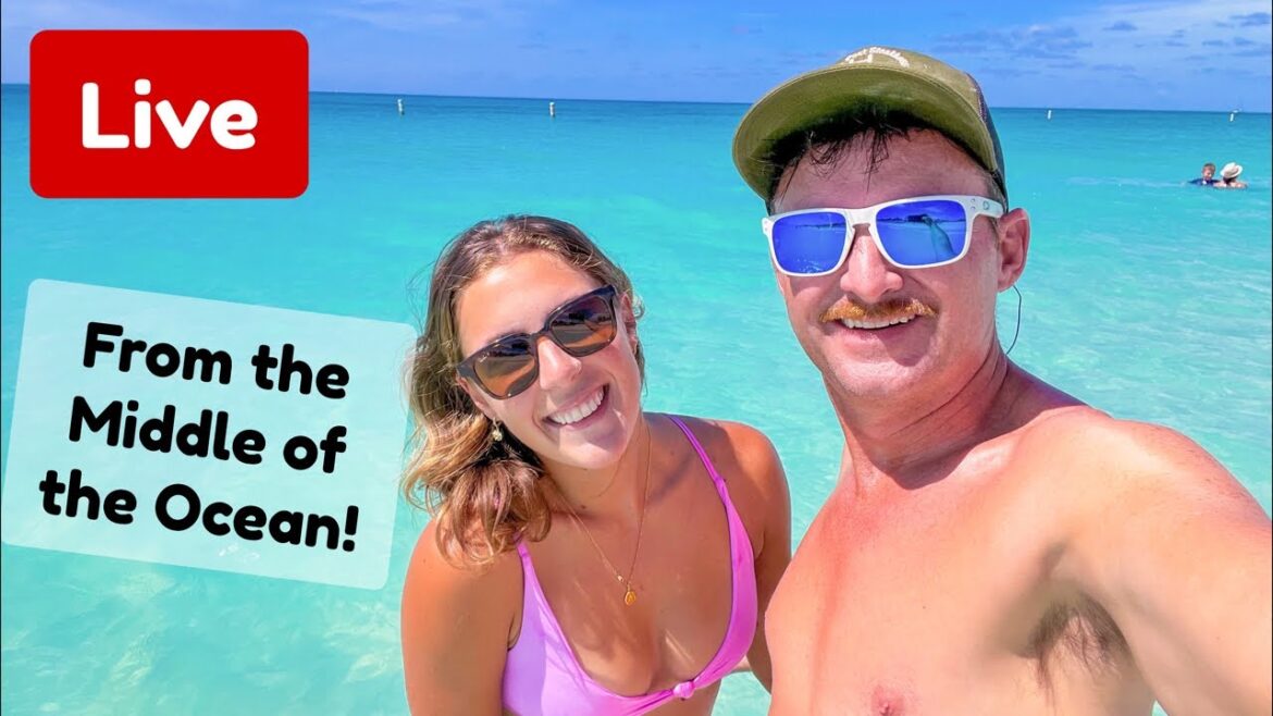 Live sailing across the Gulfstream! Live sailing across the Gulfstream!