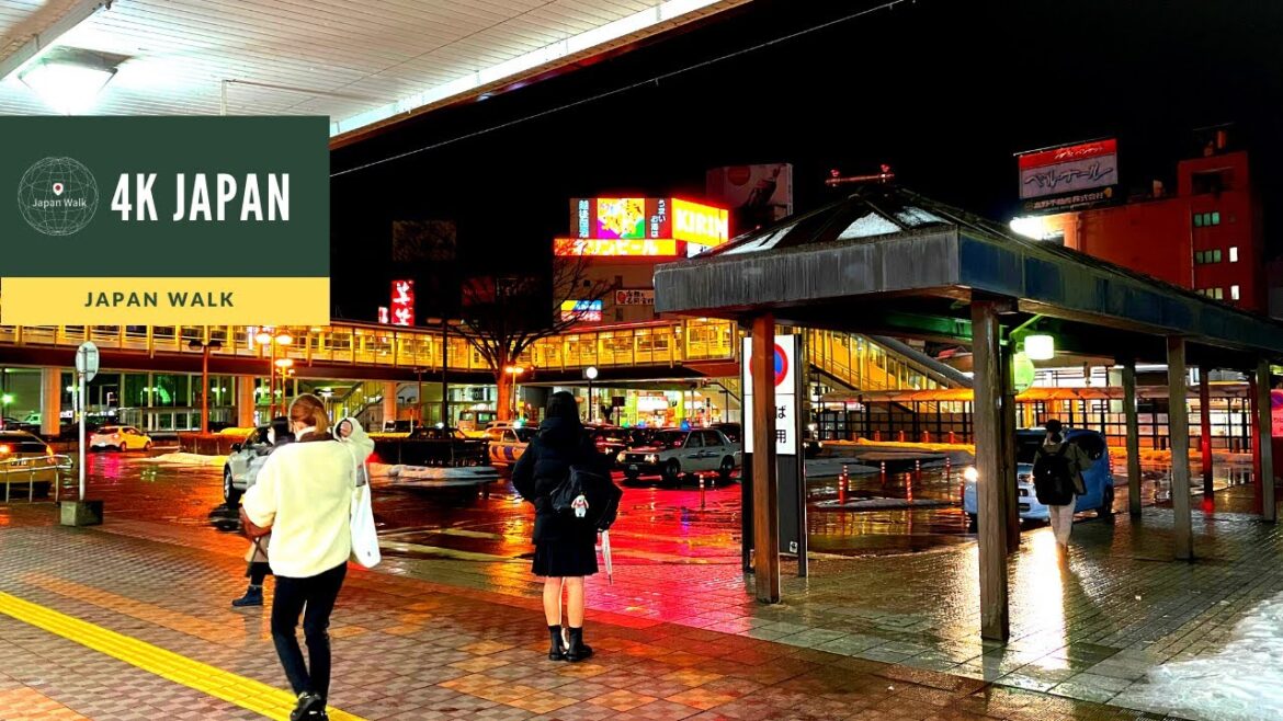 【4K HDR】Night Walk in NIIGATA Nagaoka (新潟散歩)Nagaoka Station Neighborhood Walking Tour | 新潟長岡 2022 【4K HDR】Night Walk in NIIGATA Nagaoka (新潟散歩)Nagaoka Station Neighborhood Walking Tour | 新潟長岡 2022