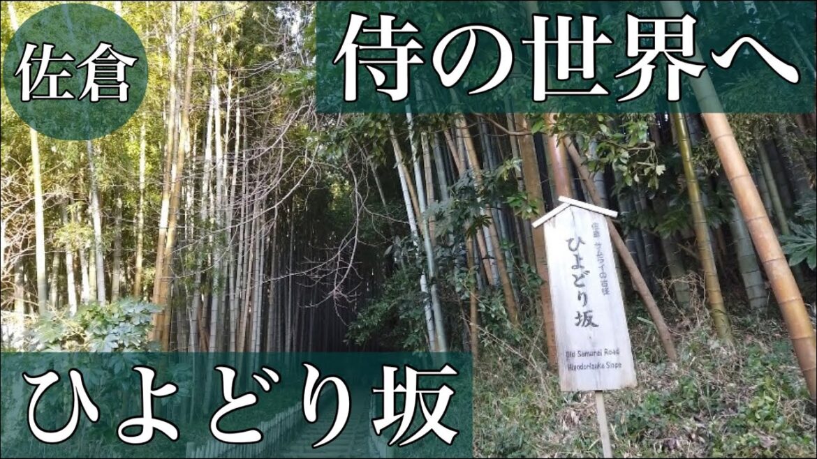 【佐倉観光】「ひよどり坂」と「佐倉天然温泉すみれ」が最高すぎた。