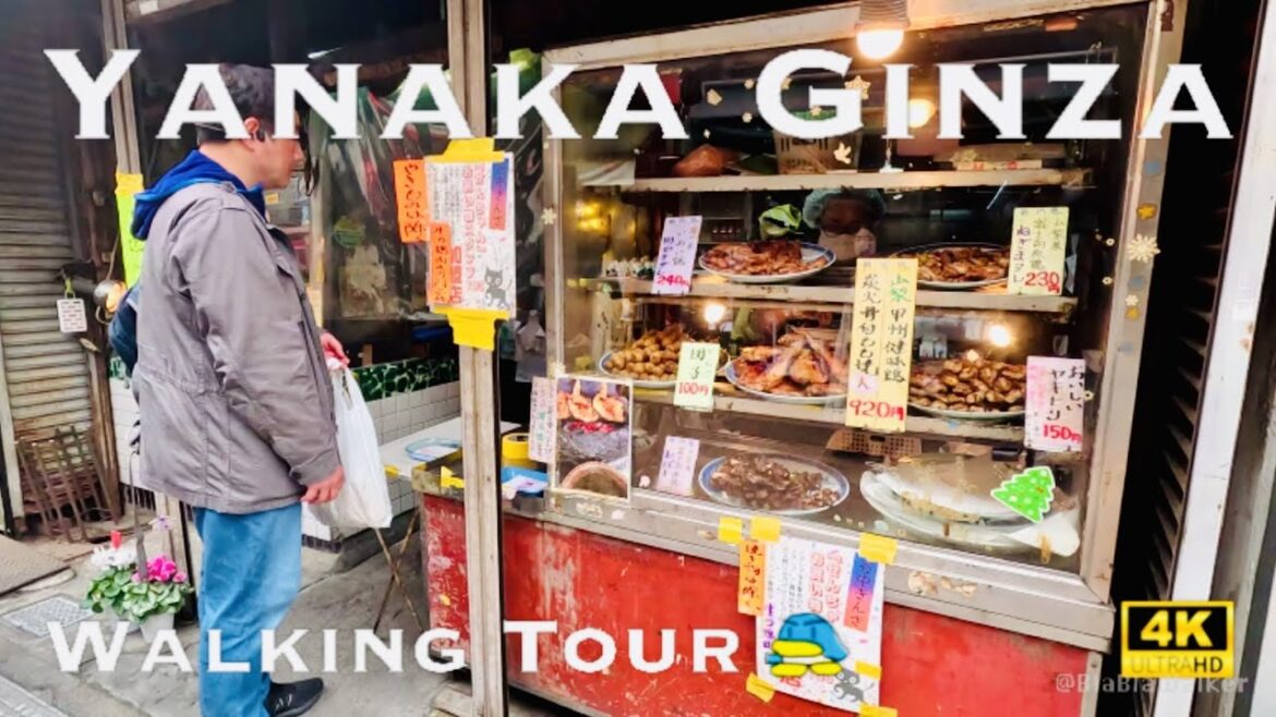 [4K] Yanaka Ginza in TOKYO💛 Street Food Walking Tour / 谷中銀座 食べ歩き 東京 散歩