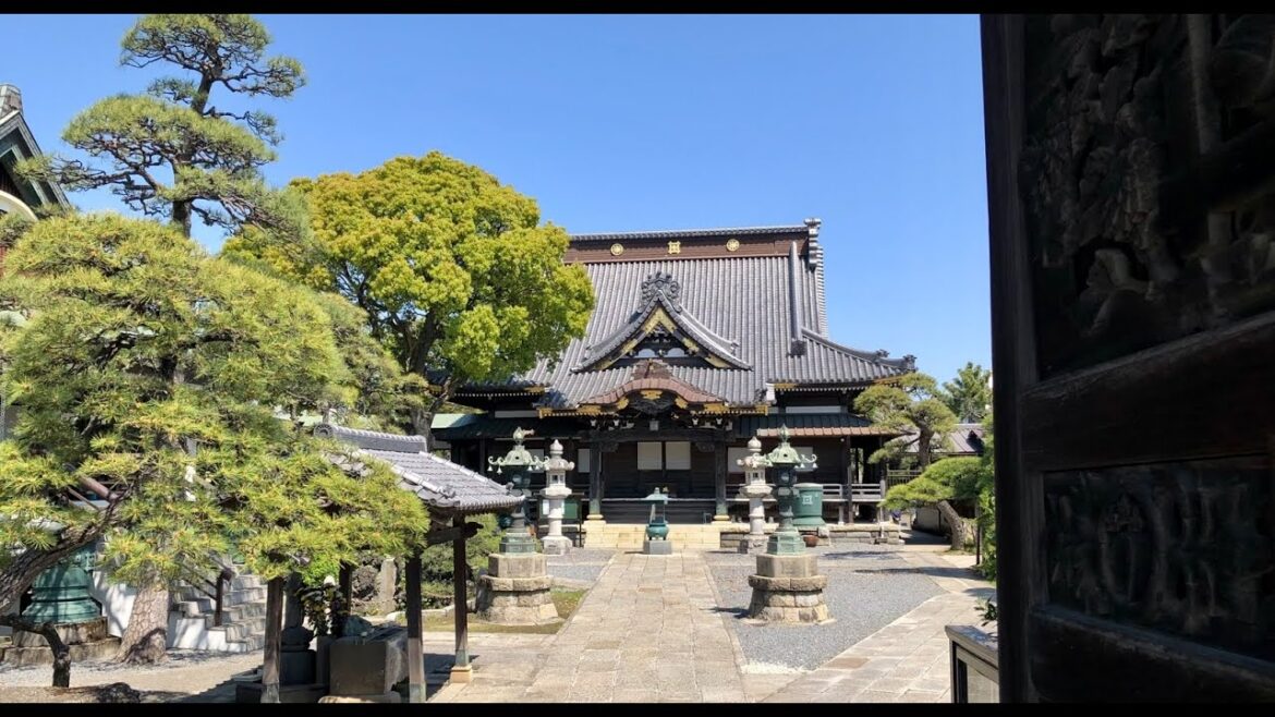 The Calm of Chiba, Japan | A Silent Walking Tour