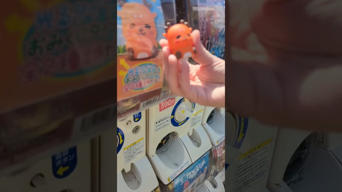 Gacha Toys on the way to Nara Deer Park during Sakura season in Japan!🌸🦌 #Japan #Toys #shorts