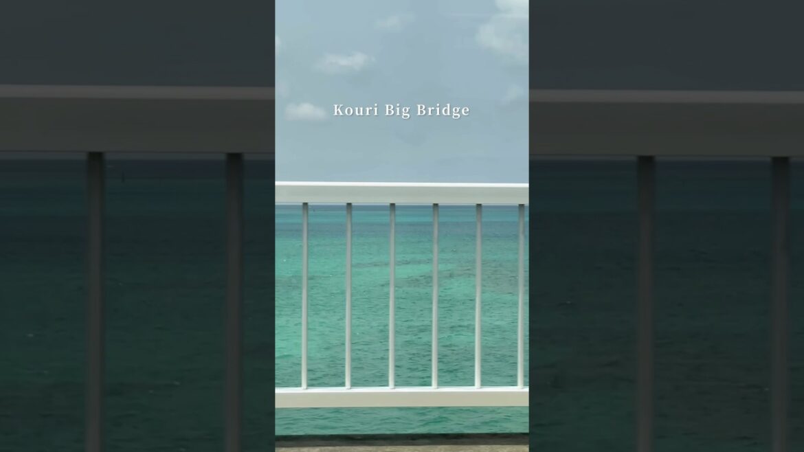 Okinawa Day 1 Vlog, Ep. 1