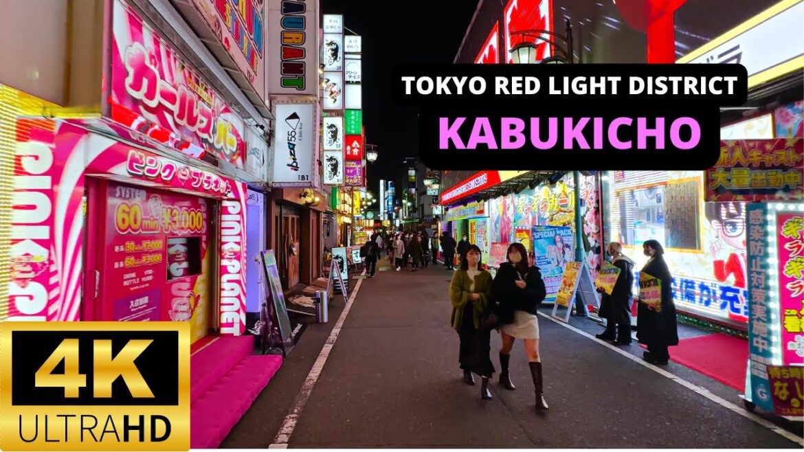 TOKYO, JAPAN 🇯🇵 [4K] Night Walk in Tokyo Red Light District — Shinjuku KABUKICHO