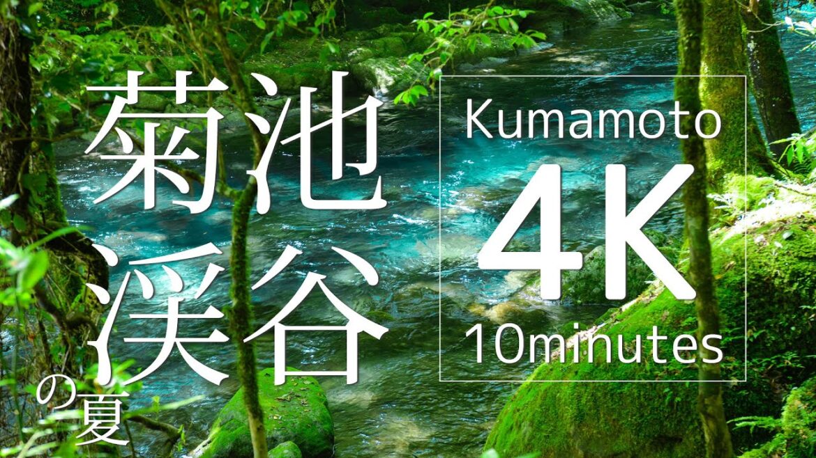菊池渓谷の夏【Kumamoto 4K 10minutes】NikonD850 菊池渓谷の夏【Kumamoto 4K 10minutes】NikonD850