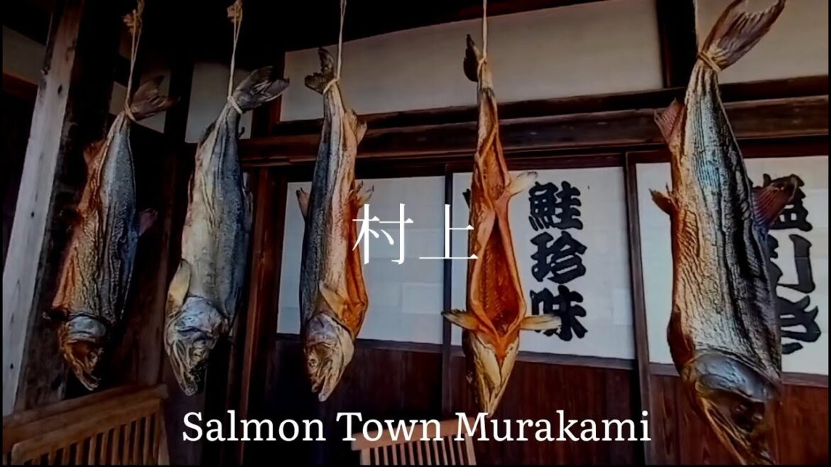 新潟県観光　鮭の町村上   Japan Tourism Niigata Prefecture Salmon Town Murakami