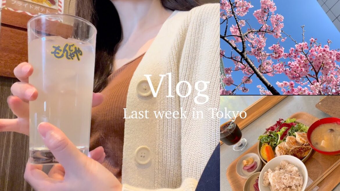 sub.vlog |🌸東京最後の1週間🥲|都立大カフェ|退職挨拶のお菓子|最後のランチ|