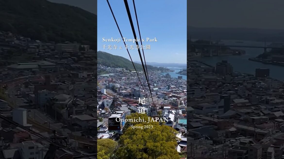 春の尾道ひとり旅、20秒でご紹介。ロングバージョンはコメントへ🔻 #shorts #尾道 #onomichi #japantrip