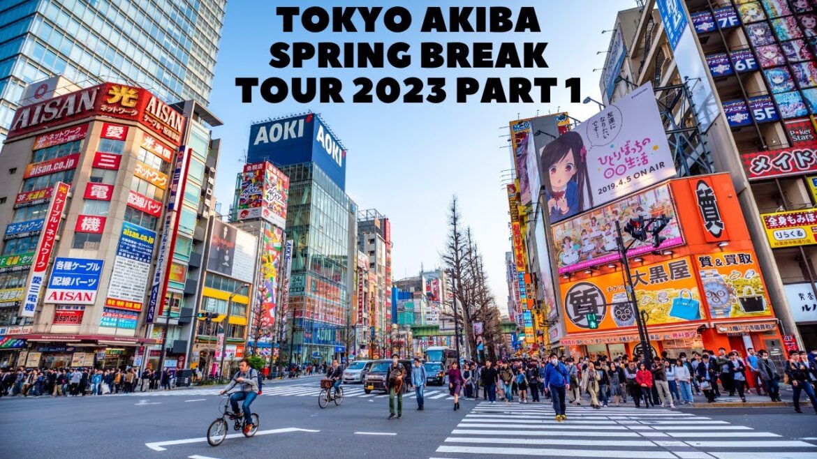 TOKYO AKIHABARA SPRING BREAK TOUR 2023 PART 1 TOKYO AKIHABARA SPRING BREAK TOUR 2023 PART 1