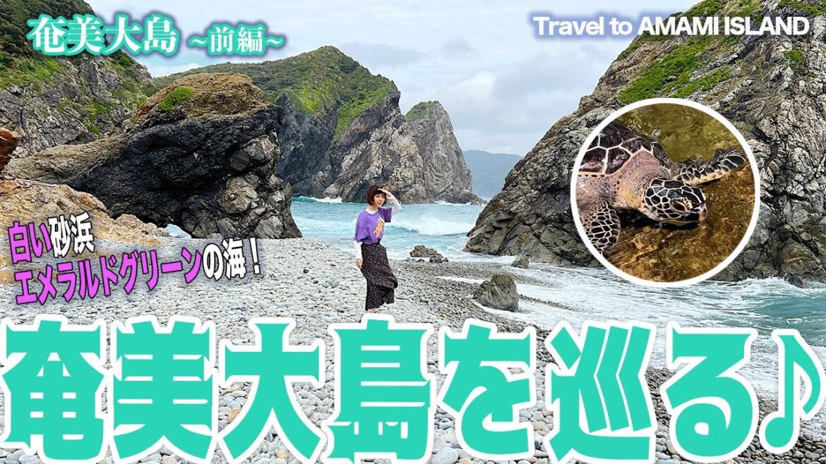 【ウミガメ】Amami Island trip / 奄美大島の旅(鹿児島) #vlog