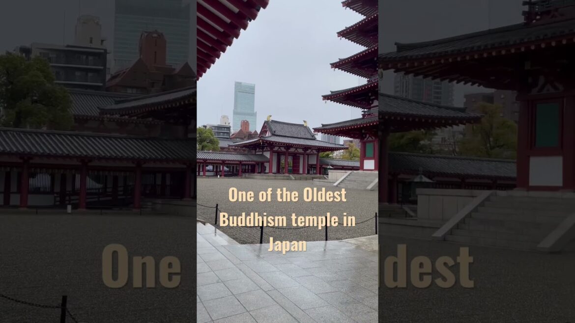 One of the oldest Temple in Japan 🇯🇵 Sacred place for our soul💚 Shitenno-ji 四天王寺 in Osaka 🪷