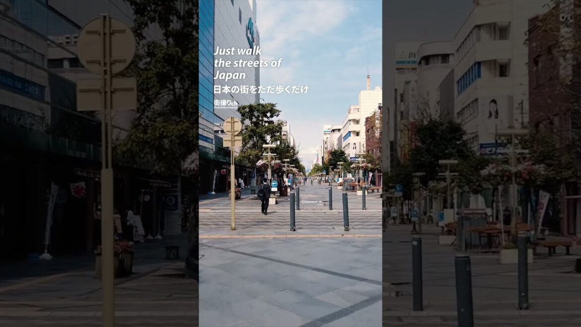 Hokkaido: Asahikawa Station (旭川駅) - Japan Walking Tour #shorts #shortsvideo