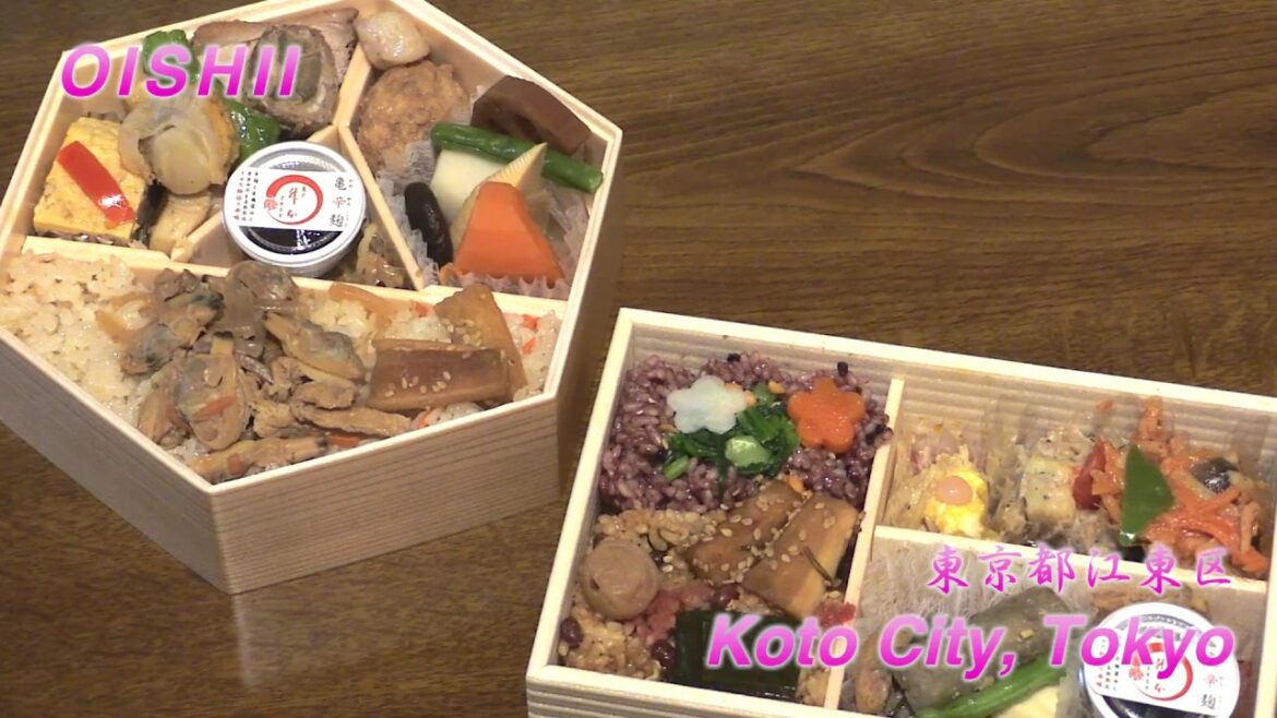 Places to visit in Koto City,Tokyo