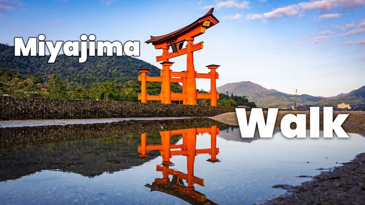 Morning Walk Through Miyajima, Hiroshima Japan