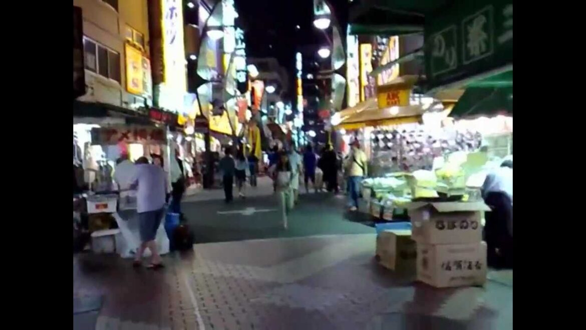 Japan 2010! P.59 Ultima Sera In Giappone!