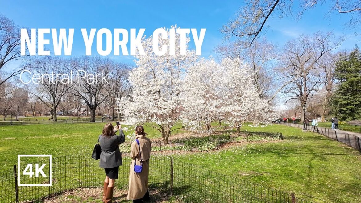 New York City Spring Walk in Central Park New York City Spring Walk in Central Park