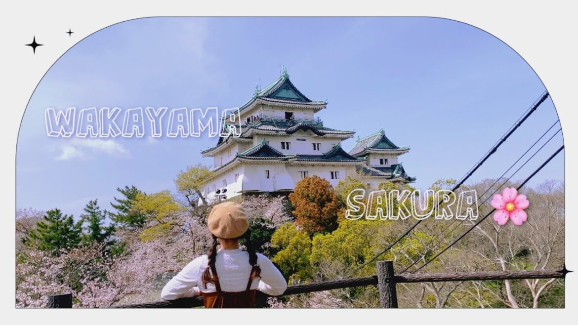 🇯🇵 vlog | spring sakura hunting in wakayama city – wakayama castle, kiimidera, kuroshio market 🇯🇵 vlog | spring sakura hunting in wakayama city - wakayama castle, kiimidera, kuroshio market