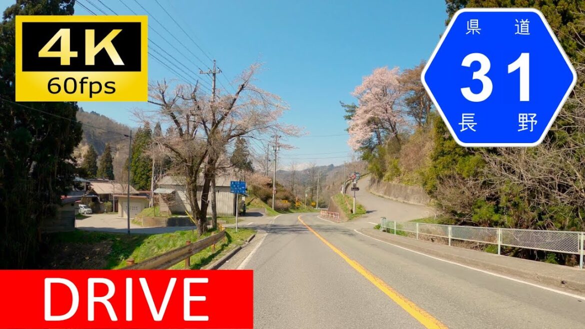 【Driving in Japan】Nagano Prefectural Route 31: Sewaki - Ōmachi（車載動画 長野県道31号）[4K]