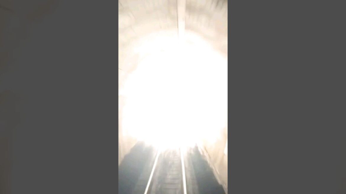 This is Japan 🚂                                   #akita #japan #train #snow #travel #tohoko #nature