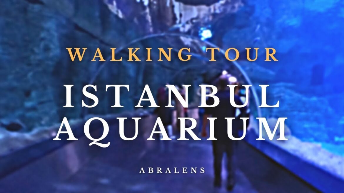 Discover Istanbul's Aquarium Florya 🇹🇷 | Walk Tour of Türkiye's Sea World | Turkey 4k HDR