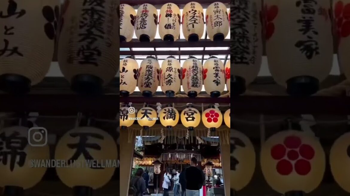 Kyoto, Japan is a VIBE☔️🇯🇵 Kyoto, Japan is a VIBE☔️🇯🇵