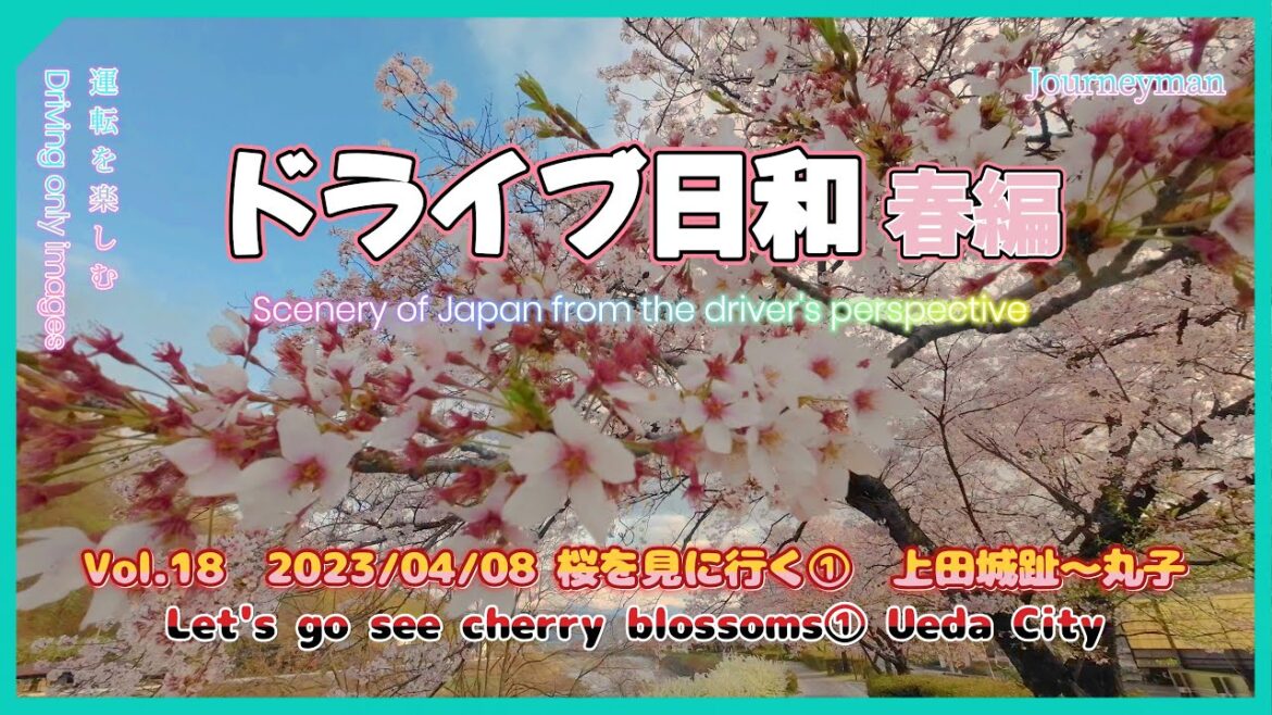 【ドライブ日和 春編】Vol.18 2023/04/08 桜を見に行く ① (長野県上田市、上田城趾~丸子 依田川桜堤防)Go cherry blossom viewing ① (Ueda City) 【ドライブ日和 春編】Vol.18 2023/04/08 桜を見に行く ① (長野県上田市、上田城趾~丸子 依田川桜堤防)Go cherry blossom viewing ① (Ueda City)