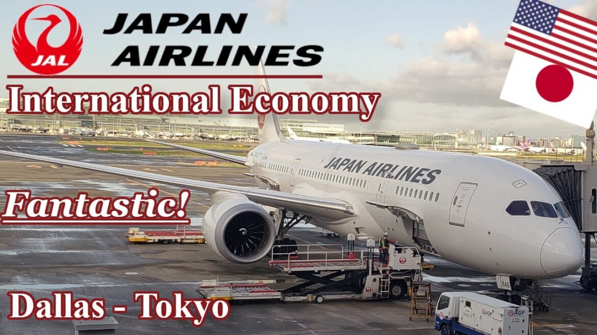 JAPAN AIRLINES INTERNATIONAL ECONOMY | DALLAS - TOKYO | 787- 8 | Best Economy Class?