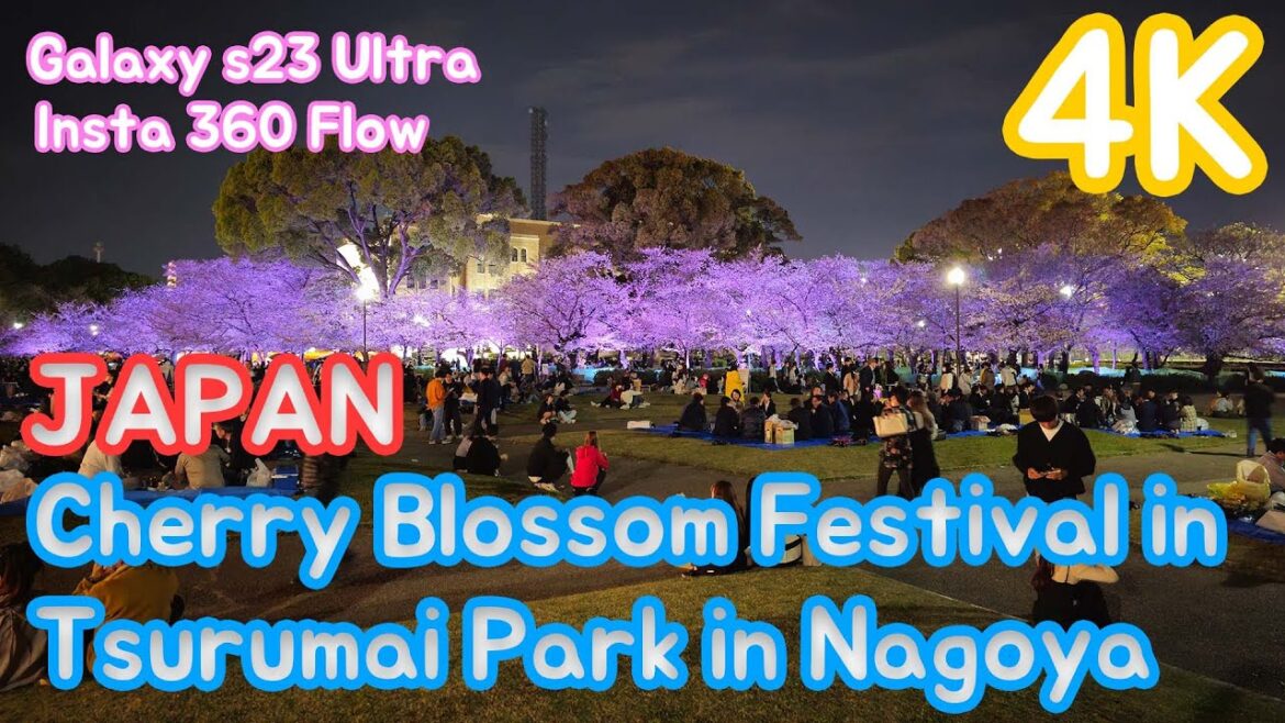 일본 나고야 산책 츠루마이공원 벚꽃축제 230403 insta360flow