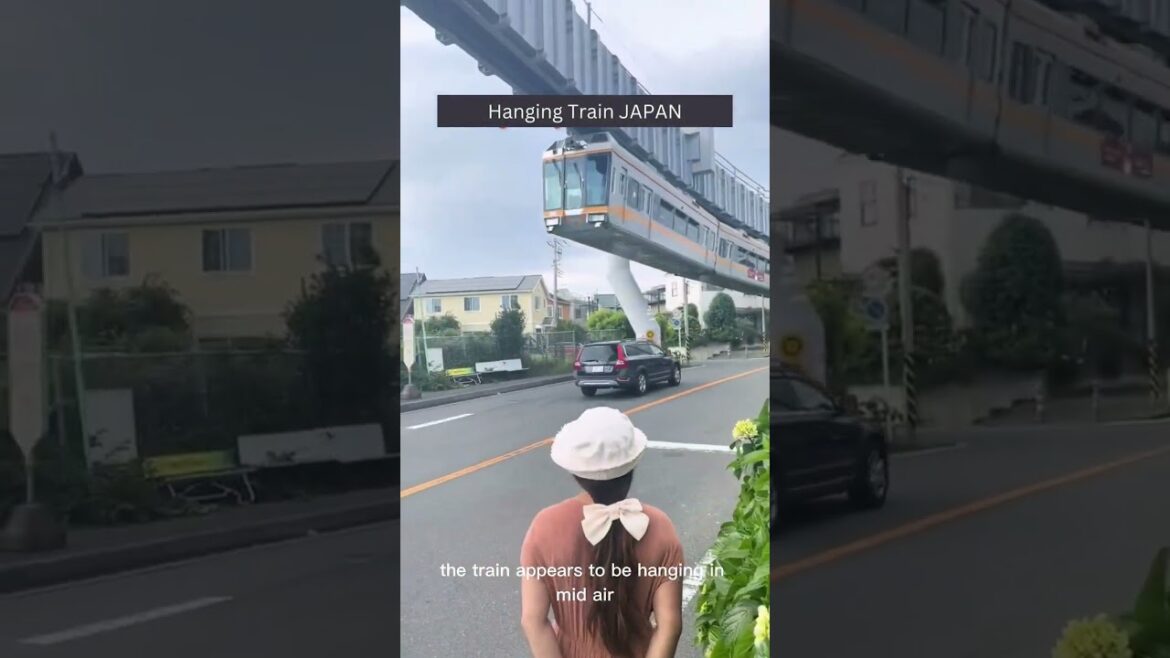 Hanging train JAPAN - Engineering marvel