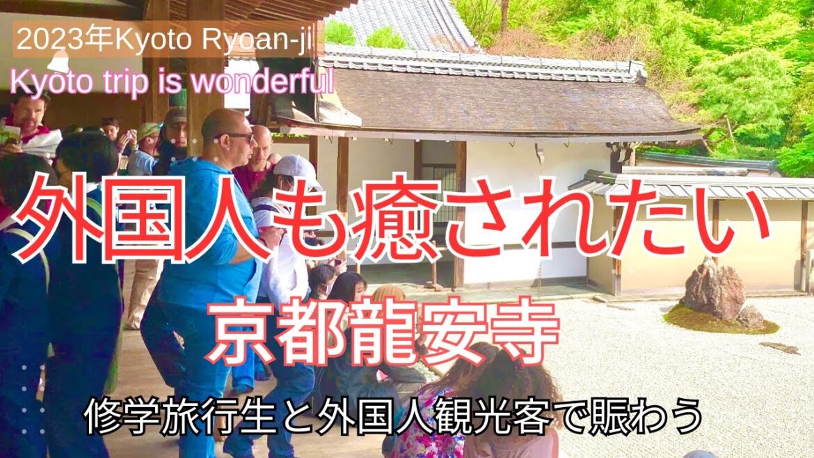 京都龍安寺は癒しの庭園！外国人観光客と修学旅行生で賑わう『Kyoto trip』
