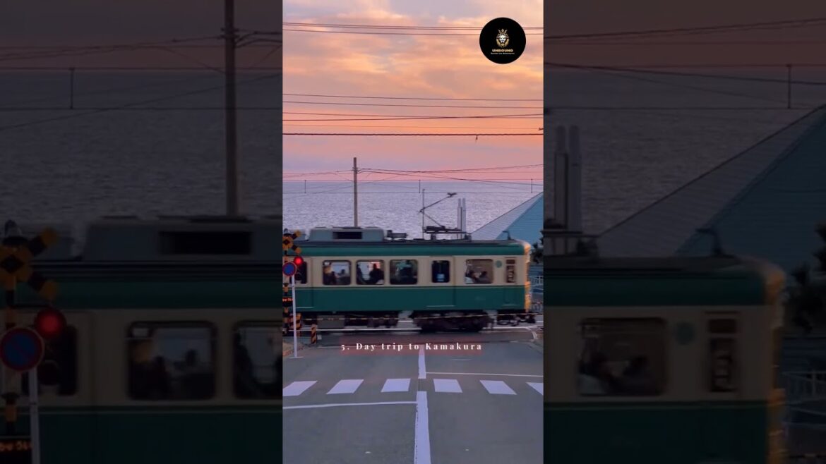 10 Things To Do In Tokyo #shorts #tokyo