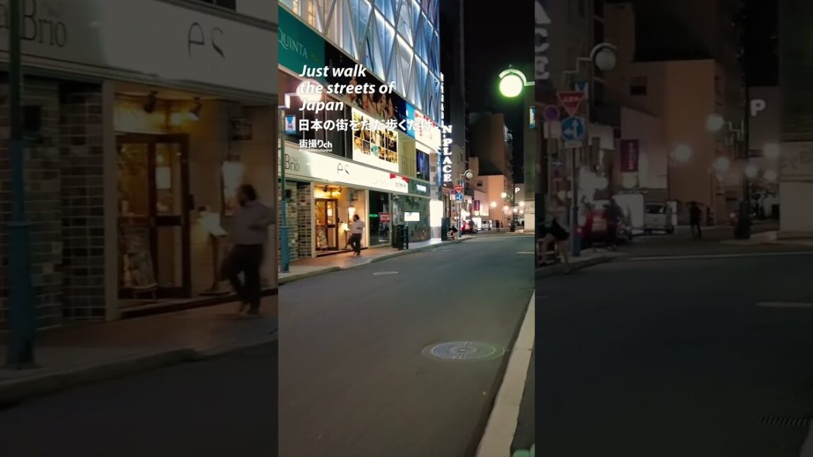 Hokkaido: Susukino Station (すすきの駅) - Japan Walking Tour #shorts #shortsvideo