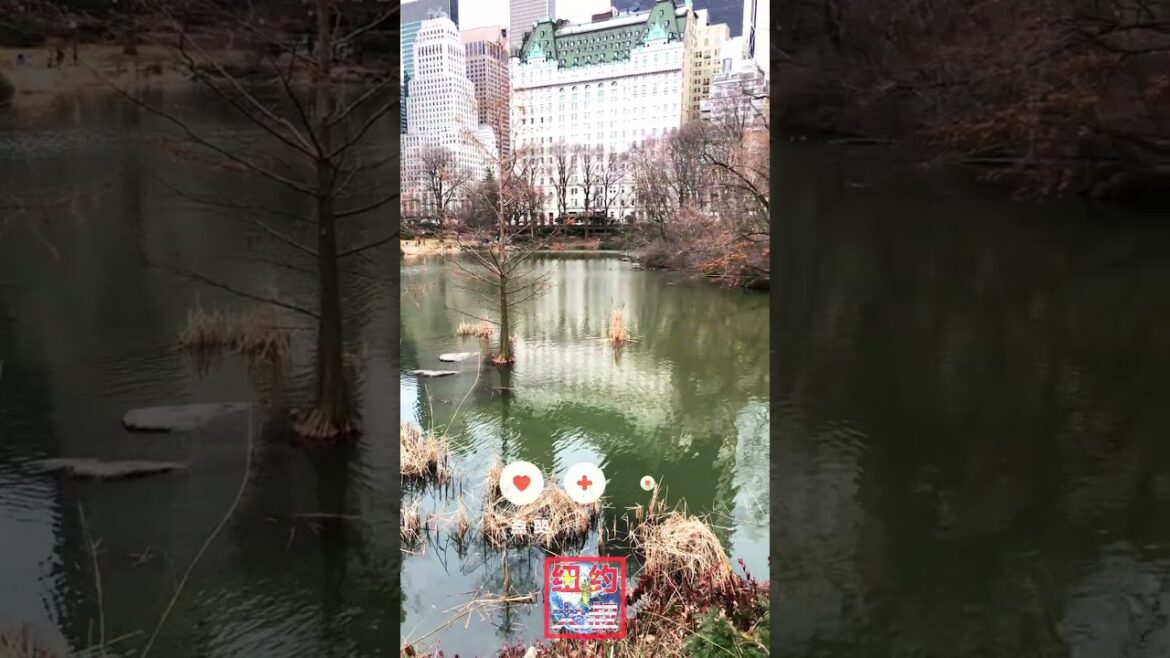 紐約中央公園 @纽约大叔看世界