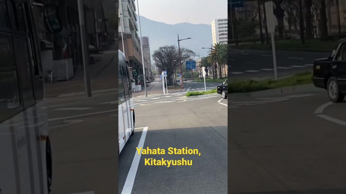 12 Mar 2023 #kitakyushu #yahatastation #yahatahigashi #sarakura